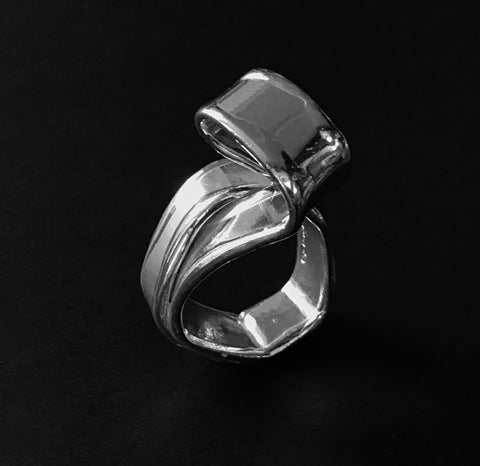 Roller Coaster Ring