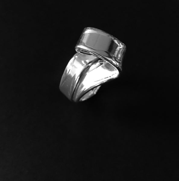 Roller Coaster Ring