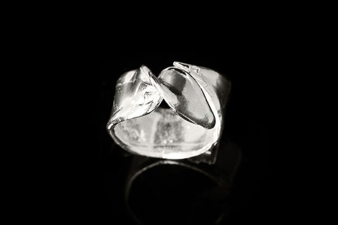 The Twist Ring